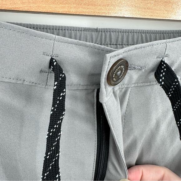 Chubbies Lined Performance Everywear Short in gray Size XXXL - Picture 2 of 7